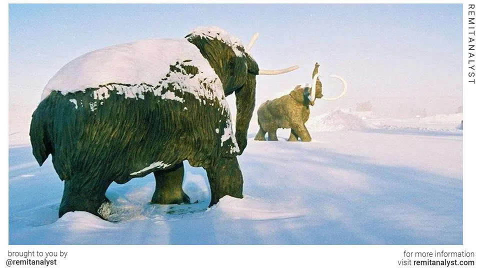 travel-yukon-beringia-interpretive-centre