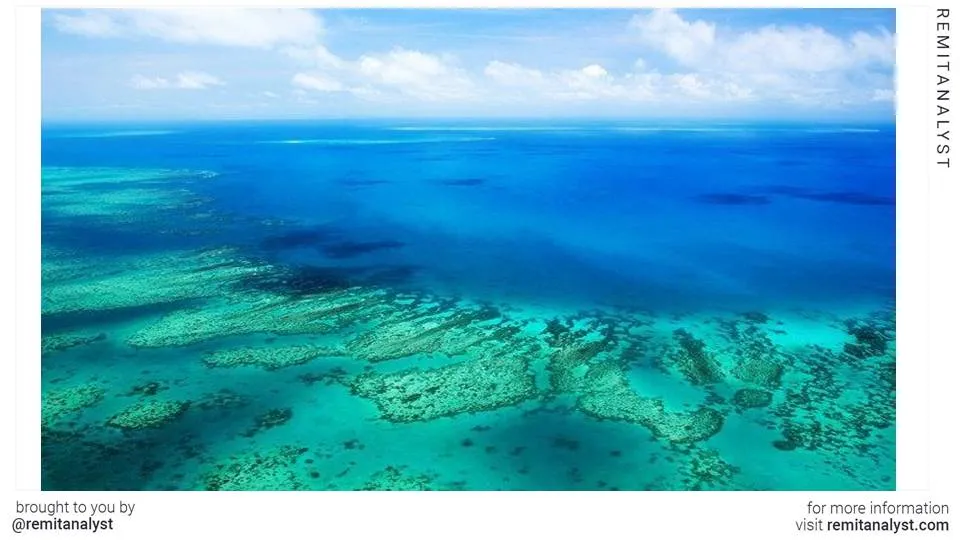 travel-great-barrier-reef-cruises-&-scenic-flights